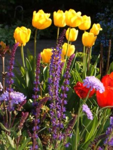 il giardino di Gianfranco